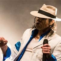 Michael Jackson - The Legacy