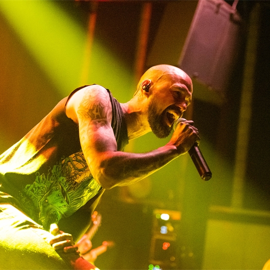 Photo report: Dyscordia