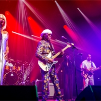Photo report: Nile Rodgers