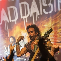 Photo report: The Dead Daisies