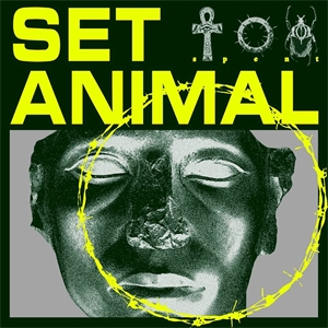 DVZ: Set Animal