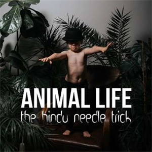 DVZ: The Hindu Needle Trick