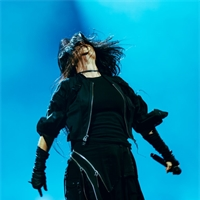 Concert report: Evanescence