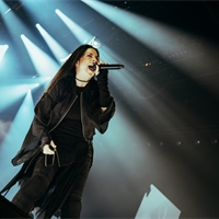 Concert report: Evanescence