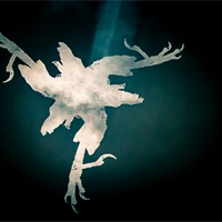 Photo report: Amenra