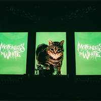 Photo report: Motionless In White