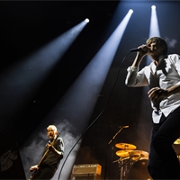 Photo report: Suede