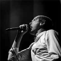 Photo report: Suede