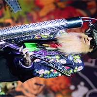 Photo report: ZZ Top