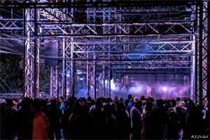 Photo report: Voltage festival
